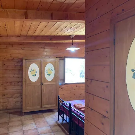 Night In The Wood Sorbo Lodge